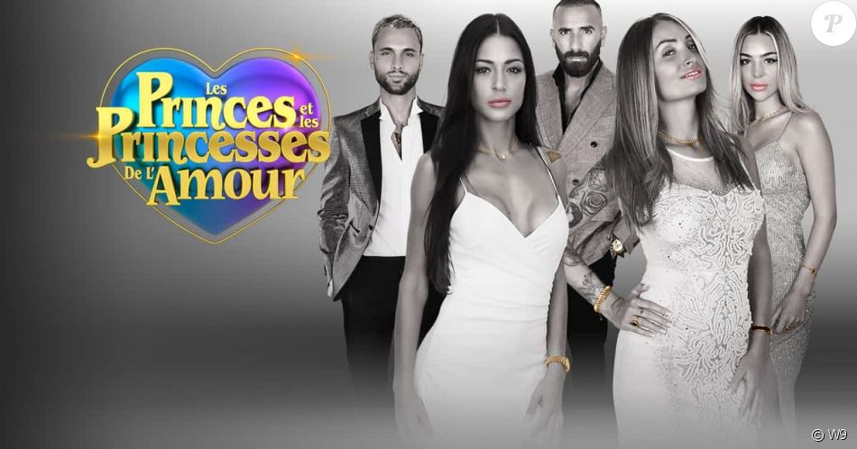 Logo de la dernière saison des "Princes de l'amour", sur W9
