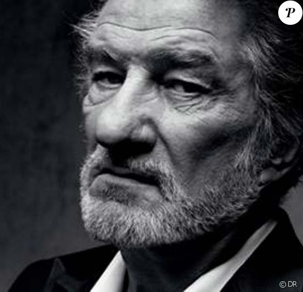 Eddy Mitchell Sa Prochaine Tournee Sera Bien La Derniere Retour Sur Une Immense Carriere Purepeople