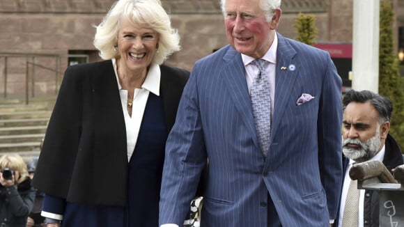 Meghan et Harry parents pour la 2e fois : le prince Charles réagit avec un message touchant