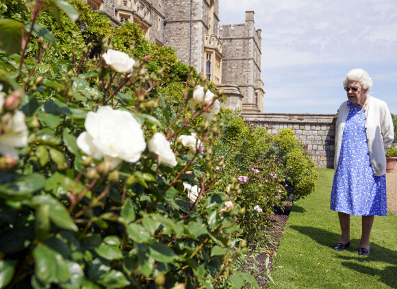 La reine Elisabeth II reçoit des mains de Keith Weed, président de la Société Royale d'Horticulture, la rose "Duke of Edimburgh" au château de Windsor. Le 9 juin 2021