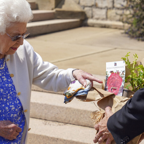 La reine Elisabeth II reçoit des mains de Keith Weed, président de la Société Royale d'Horticulture, la rose "Duke of Edimburgh" au château de Windsor. Le 9 juin 2021