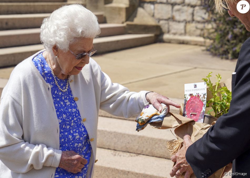 La reine Elisabeth II reçoit des mains de Keith Weed, président de la Société Royale d'Horticulture, la rose "Duke of Edimburgh" au château de Windsor. Le 9 juin 2021