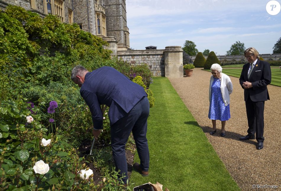 La reine Elisabeth II reçoit des mains de Keith Weed, président de la Société Royale d'Horticulture, la rose "Duke of Edimburgh" au château de Windsor. Le 9 juin 2021