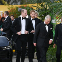 William et Harry laissés seuls : le prince Charles manquera l'inauguration de la statue de Diana
