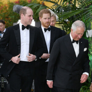 Le prince William, duc de Cambridge, le prince Harry, duc de Sussex, le prince Charles, prince de Galles lors de la première mondiale de la série Netflix "Our Planet" au Musée d'histoire naturelle de Londres.