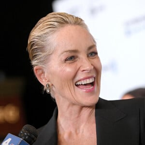 Sharon Stone régale ses abonnés Instagram avec une nouvelle photo d'elle en bikini.