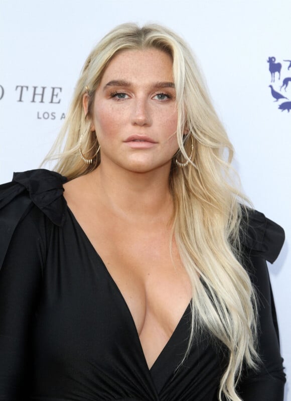 Kesha lors du photocall du gala '2019 to the rescue' à Rancho Santa Margarita en Californie, le 4 mai 2019. 