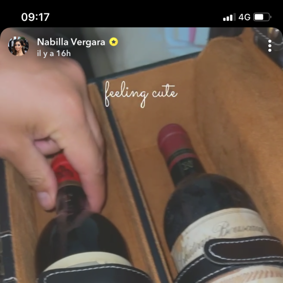 Nabilla et Thomas Vergara dévoilent les seuls cadeaux de mariage qu'il leur reste après le cambriolage - Snapchat
