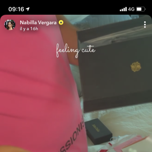 Nabilla et Thomas Vergara dévoilent les seuls cadeaux de mariage qu'il leur reste après le cambriolage - Snapchat