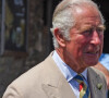 Le prince Charles, prince de Galles à Iddesleigh, le 21 juillet 2021.