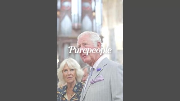 Prince Charles et Camilla : leur supposé fils caché mis à mal par l'une de ses preuves