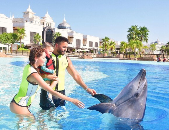 Nabilla et Thomas Vergara rencontrent un dauphin avec leur fils, Milann.