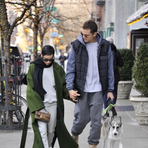 Exclusif - Zoë Kravitz et son mari Karl Glusman promènent leur chien à New York, le 12 février 2020.