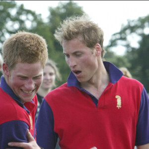 Le prince Harry avec son père Charles et son frère William à un match de polo.