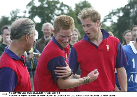 Le prince Harry avec son père Charles et son frère William à un match de polo.