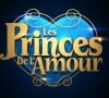 Logo des "Princes de l'amour", sur W9