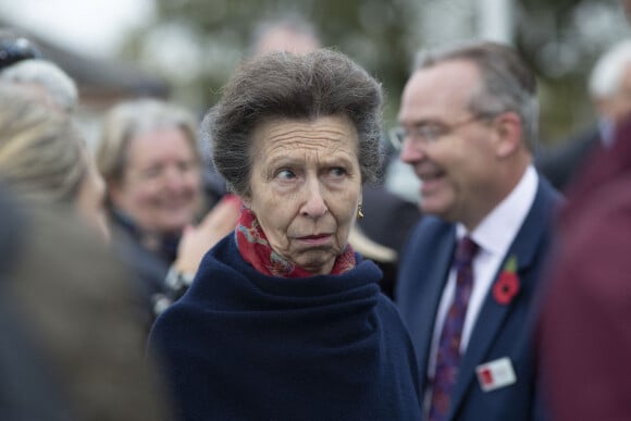 La princesse Anne assiste à la course caritative de la British Horse Society à l'hippodrome de Newbury.