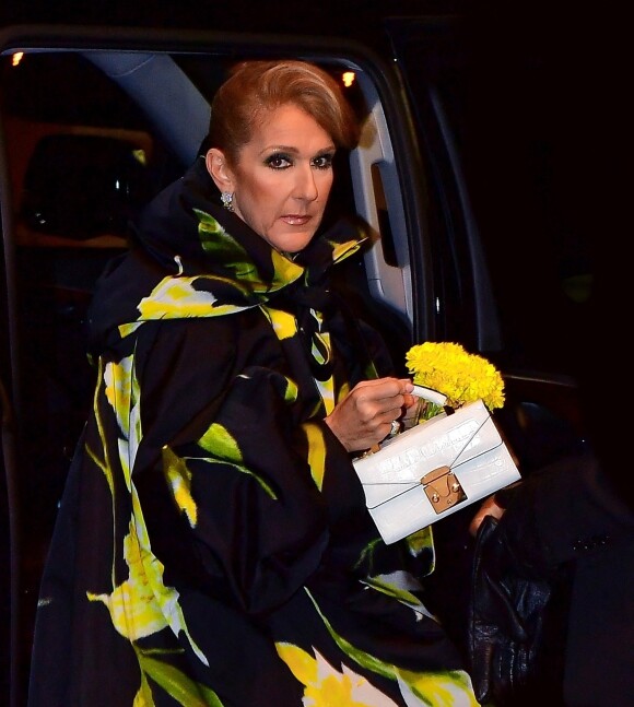 Celine Dion en balade dans les rues de New York