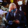 Le prince Charles s'endort en pleine cérémonie historique, face à Rihanna...