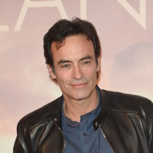 Anthony Delon à l'avant-première du film "Holy Lands" au cinéma UGC Normandie à Paris, le 4 décembre 2018. © Coadic Guirec/Bestimage