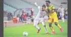 Scandale autour de Tunisie-Mali : match arrêté avant la fin, l'arbitre victime d'un coup de chaud ?
