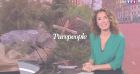 Marie-Sophie Lacarrau bientôt de retour au JT de TF1 : la date dévoilée