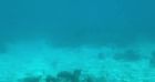 Frédérick Bousquet et sa fille Manon en vacances à Tahiti.