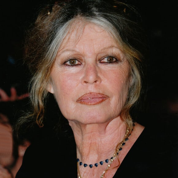 Archives - Portait de Brigitte Bardot en 2001.