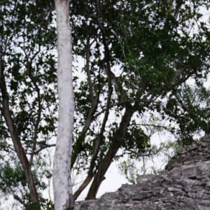 Le prince William et sa femme Kate Middleton lors d'une réception spéciale dans les ruines mayas de Cahal Pech à San Ignacio, au Belize, organisée par Froyla Tzalam, le 21 mars 2022. 