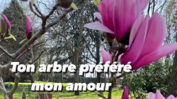 Nathalie Marquay rend hommage à Jean-Pierre Pernaut sur Instagram, le 25 mars 2022