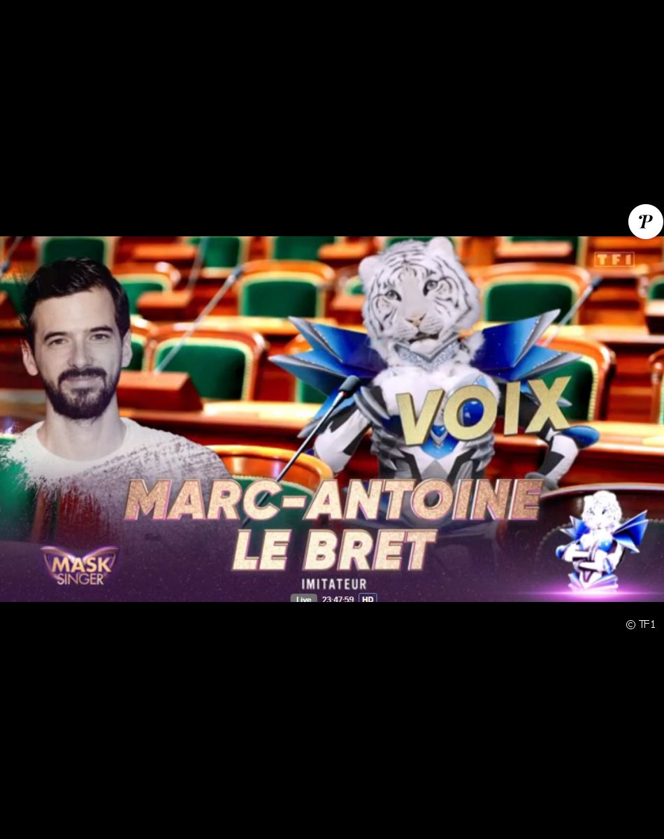 La Tigresse éliminée et démasquée dans la saison 3 de "Mask Singer". Il s'agissait de Marc-Antoine Le Bret.