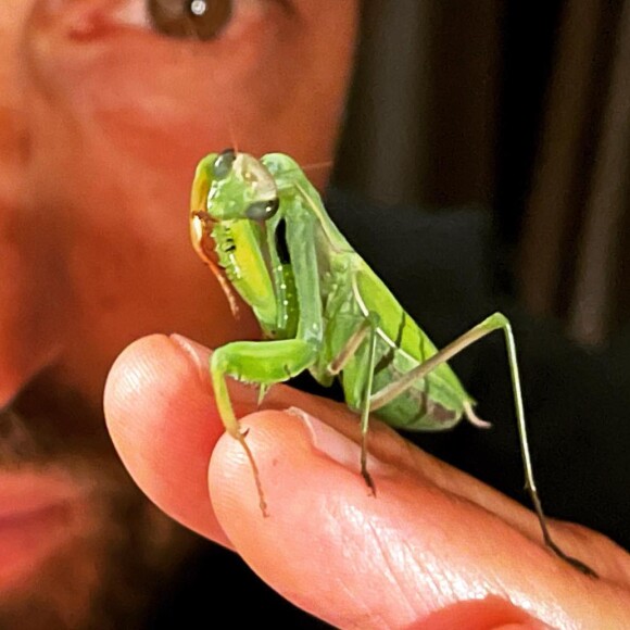 Frédéric Diefenthal sur Instagram. Le 11 octobre 2021.