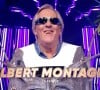 Gilbert Montagné se cachait sous le costume de l'Arbre, dans l'émission "Mask Singer" !