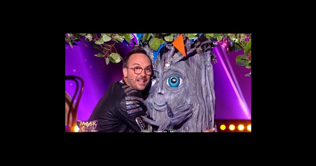 L'Arbre dans l'émission Mask Singer du 6 mai 2022. Purepeople