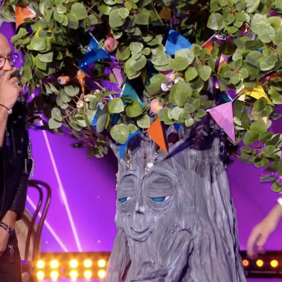 Gilbert Montagné, caché dans le costume d'Arbre, a malencontreusement touché les parties intimes de Jarry dans "Mask Singer" - TF1