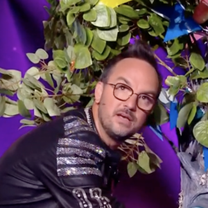 Gilbert Montagné, caché dans le costume d'Arbre, a malencontreusement touché les parties intimes de Jarry dans "Mask Singer" - TF1