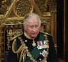 Le prince Charles, prince de Galles - Arrivée au discours de l'ouverture officielle du Parlement à Londres. Ayant des problèmes de mobilité, la reine d'Angleterre est représentée par le prince de Galles.