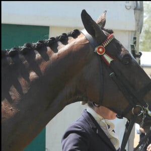 La Reine Elizabeth II qui asssite au Royal Windsor Horse Show.