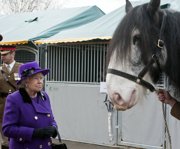 La reine Elisabeth II d'Angleterre a visité la caserne de Combermere a Windsor. Lors de sa visite des ecuries, elle a rencontré les membres des Life Guards, des Blues and Royals. Ensuite, elle s'est rendue a l'ecole d'equitation ou elle a assisté à une leçon des jeunes chevaux. Le 26 novembre 2012.