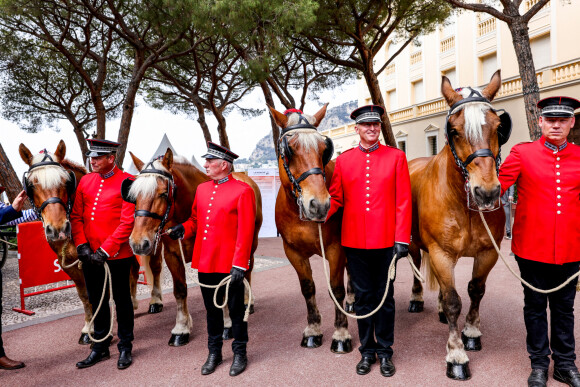 Illustration des chevaux de la calèche à la fête des Fiefs 3ème rencontre des sites historiques Grimaldi de Monaco, le 4 juin 2022. © Claudia Albuquerque/Bestimage