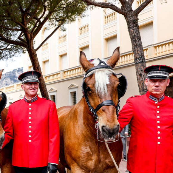 Illustration des chevaux de la calèche à la fête des Fiefs 3ème rencontre des sites historiques Grimaldi de Monaco, le 4 juin 2022. © Claudia Albuquerque/Bestimage