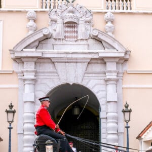 Illustration des chevaux de la calèche à la fête des Fiefs 3ème rencontre des sites historiques Grimaldi de Monaco, le 4 juin 2022. © Claudia Albuquerque/Bestimage