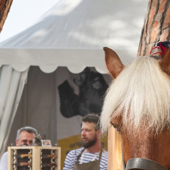 Illustration des chevaux de la calèche à la fête des Fiefs 3ème rencontre des sites historiques Grimaldi de Monaco, le 4 juin 2022. © Claudia Albuquerque/Bestimage