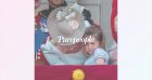 Princesse Charlotte en larmes sur le balcon de Buckingham, révélations sur une séquence remarquée