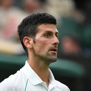 Tennis - Wimbledon 2022 - Novak Djokovic  © Chryslene Caillaud/Panormic/Bestimage