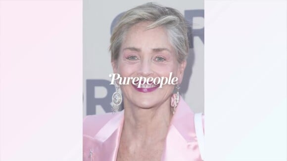Sharon Stone presque nue : à 64 ans, elle assume ses imperfections et rayonne, les internautes applaudissent