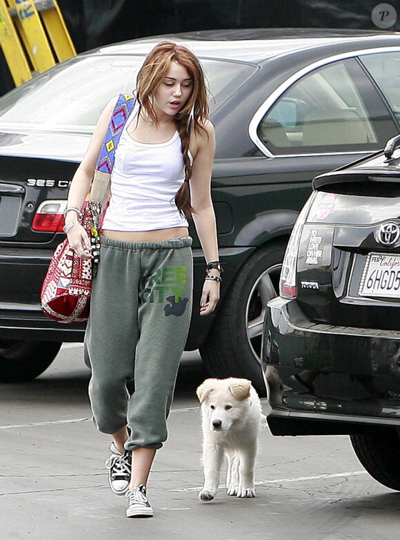 Miley Cyrus se rend en studio d'enregistrement en jogging-baskets... et en compagnie de Mate, son chiot de 2 mois et demi.