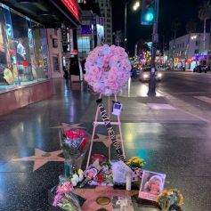 L'étoile d'Olivia Newton-John fleurie sur Hollywood Boulevard à l'annonce de son décès à 73 ans, le 8 août 2022.
