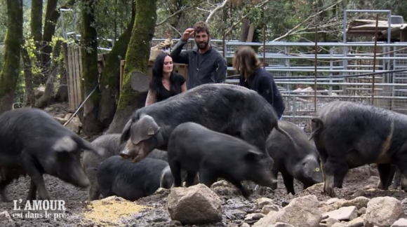 Sébastien à la ferme avec ses prétendantes dans "L'amour est dans le pré" - M6