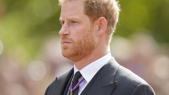Le prince Harry, pas le fils du roi Charles III ? Une ressemblance frappante sème le doute...